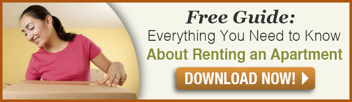 Everything You Need to Know About Renting an Apartment 